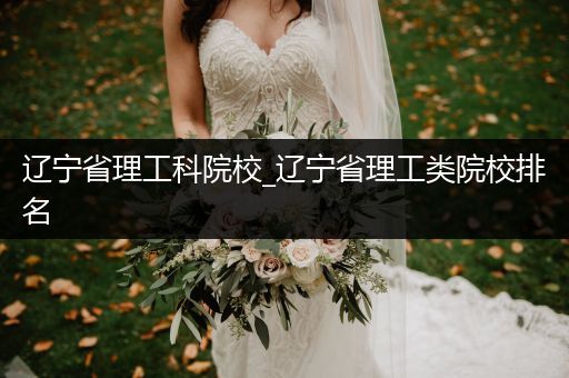 辽宁省理工科院校_辽宁省理工类院校排名