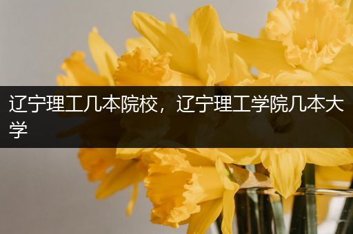 辽宁理工几本院校，辽宁理工学院几本大学