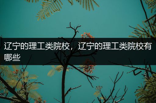 辽宁的理工类院校，辽宁的理工类院校有哪些