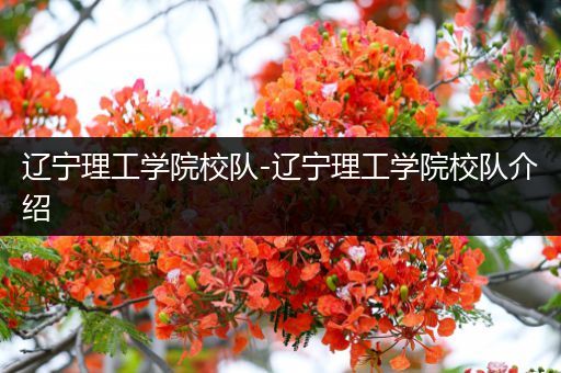 辽宁理工学院校队-辽宁理工学院校队介绍