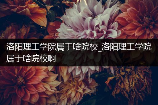 洛阳理工学院属于啥院校_洛阳理工学院属于啥院校啊
