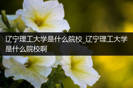 辽宁理工大学是什么院校_辽宁理工大学是什么院校啊