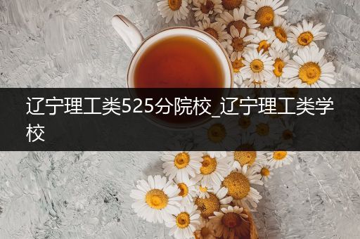 辽宁理工类525分院校_辽宁理工类学校