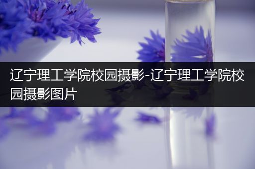 辽宁理工学院校园摄影-辽宁理工学院校园摄影图片