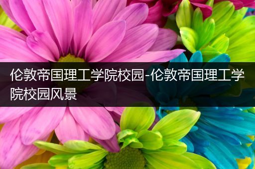 伦敦帝国理工学院校园-伦敦帝国理工学院校园风景