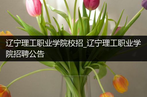 辽宁理工职业学院校招_辽宁理工职业学院招聘公告