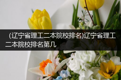（辽宁省理工二本院校排名)辽宁省理工二本院校排名第几