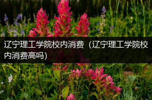 辽宁理工学院校内消费（辽宁理工学院校内消费高吗）