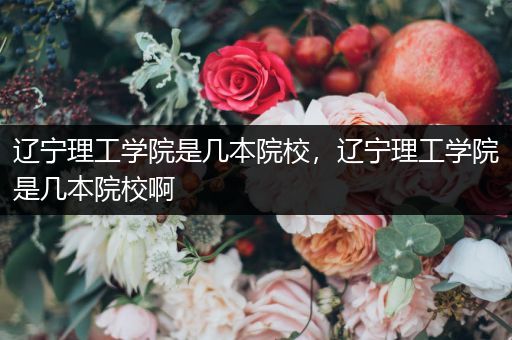 辽宁理工学院是几本院校，辽宁理工学院是几本院校啊