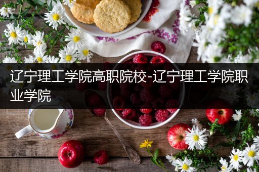 辽宁理工学院高职院校-辽宁理工学院职业学院