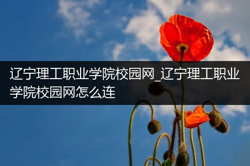 辽宁理工职业学院校园网_辽宁理工职业学院校园网怎么连