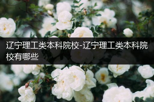 辽宁理工类本科院校-辽宁理工类本科院校有哪些