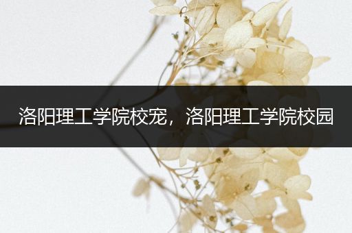 洛阳理工学院校宠，洛阳理工学院校园