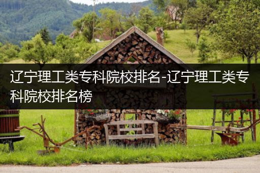 辽宁理工类专科院校排名-辽宁理工类专科院校排名榜