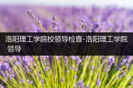 洛阳理工学院校领导检查-洛阳理工学院 领导