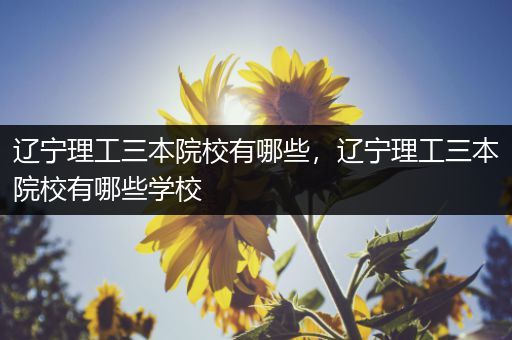 辽宁理工三本院校有哪些，辽宁理工三本院校有哪些学校