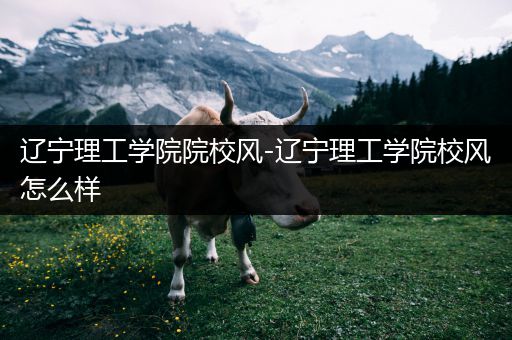 辽宁理工学院院校风-辽宁理工学院校风怎么样