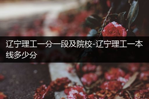 辽宁理工一分一段及院校-辽宁理工一本线多少分