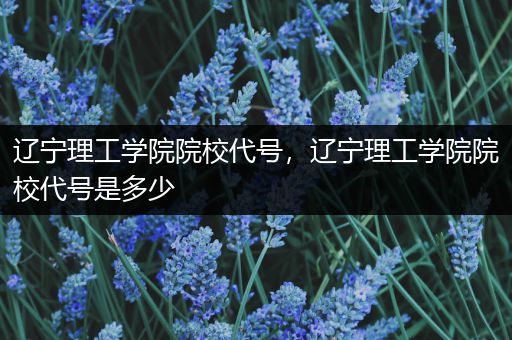 辽宁理工学院院校代号，辽宁理工学院院校代号是多少