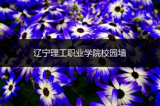 辽宁理工职业学院校园墙