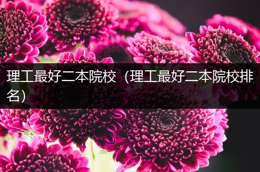 理工最好二本院校（理工最好二本院校排名）