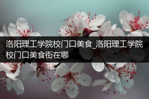 洛阳理工学院校门口美食_洛阳理工学院校门口美食街在哪