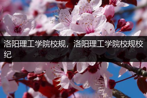 洛阳理工学院校规，洛阳理工学院校规校纪