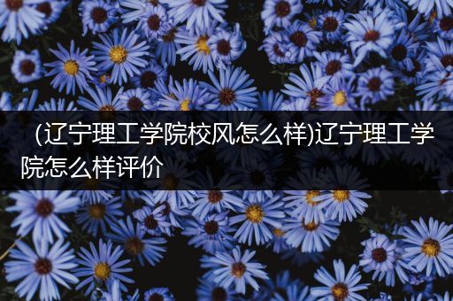 （辽宁理工学院校风怎么样)辽宁理工学院怎么样评价