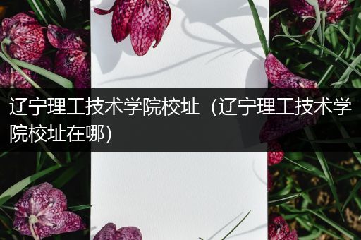 辽宁理工技术学院校址（辽宁理工技术学院校址在哪）