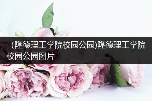 （隆德理工学院校园公园)隆德理工学院校园公园图片