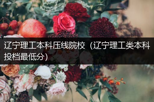 辽宁理工本科压线院校（辽宁理工类本科投档最低分）