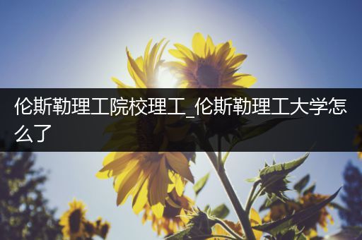 伦斯勒理工院校理工_伦斯勒理工大学怎么了