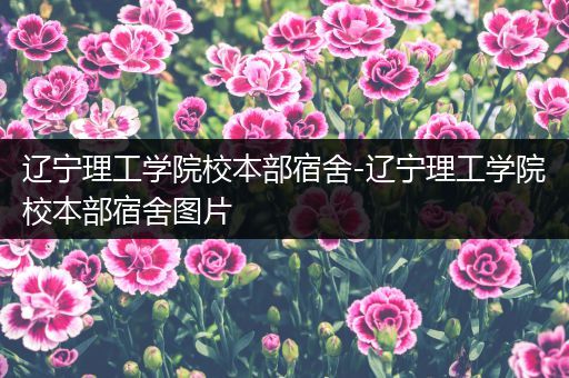 辽宁理工学院校本部宿舍-辽宁理工学院校本部宿舍图片
