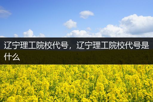 辽宁理工院校代号，辽宁理工院校代号是什么