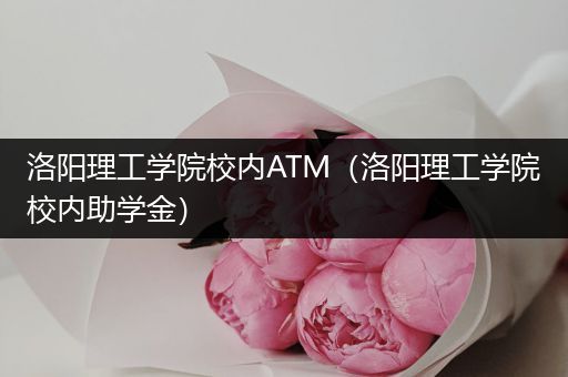 洛阳理工学院校内ATM（洛阳理工学院校内助学金）