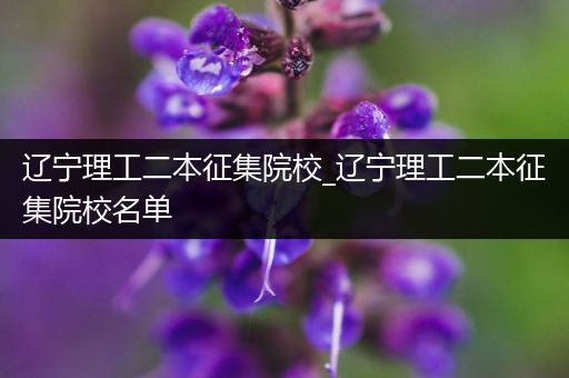 辽宁理工二本征集院校_辽宁理工二本征集院校名单