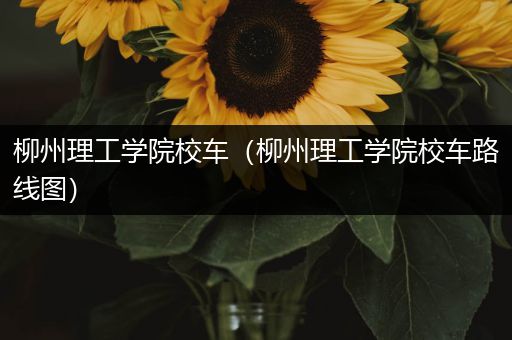 柳州理工学院校车（柳州理工学院校车路线图）