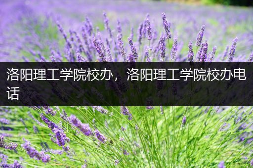洛阳理工学院校办，洛阳理工学院校办电话