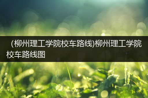 （柳州理工学院校车路线)柳州理工学院校车路线图