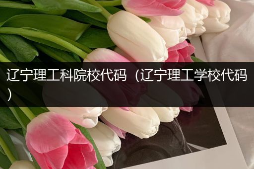 辽宁理工科院校代码（辽宁理工学校代码）