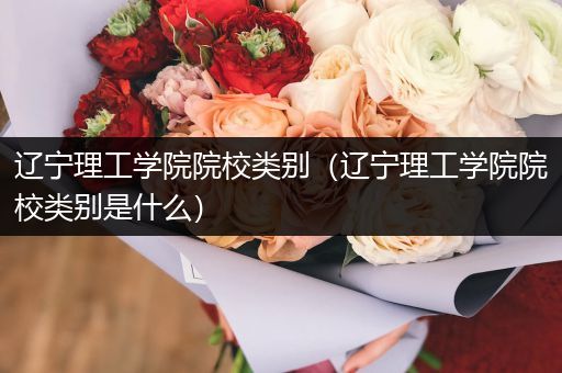 辽宁理工学院院校类别（辽宁理工学院院校类别是什么）