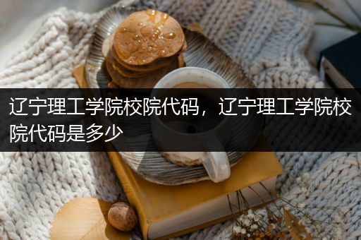 辽宁理工学院校院代码，辽宁理工学院校院代码是多少