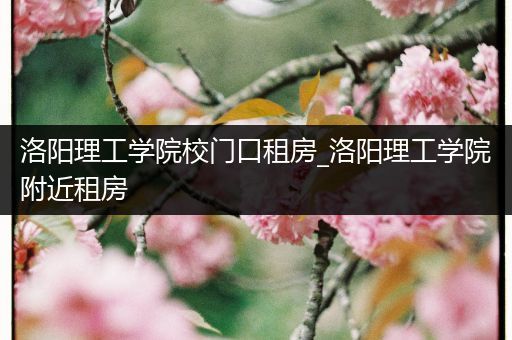 洛阳理工学院校门口租房_洛阳理工学院附近租房