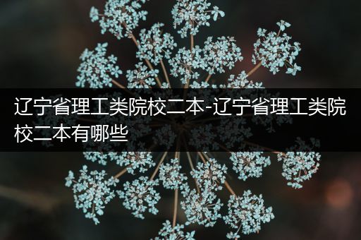 辽宁省理工类院校二本-辽宁省理工类院校二本有哪些