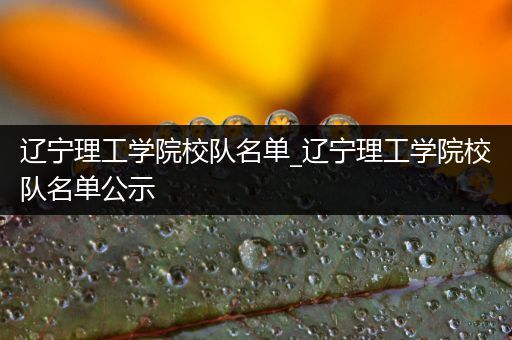 辽宁理工学院校队名单_辽宁理工学院校队名单公示