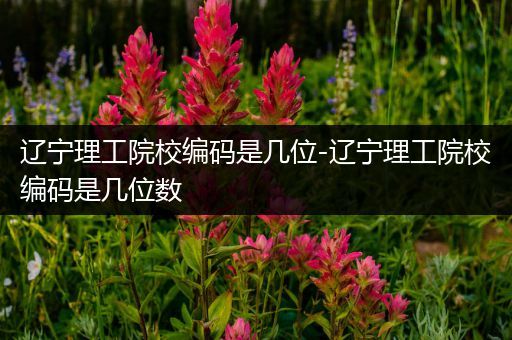 辽宁理工院校编码是几位-辽宁理工院校编码是几位数