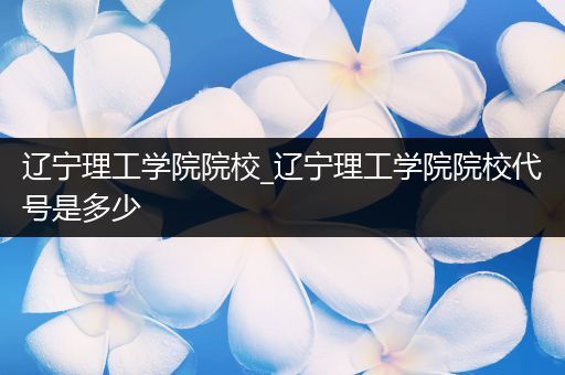 辽宁理工学院院校_辽宁理工学院院校代号是多少