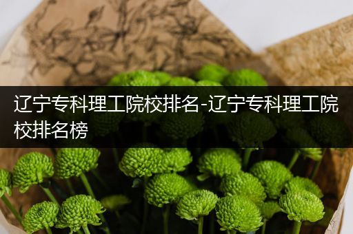 辽宁专科理工院校排名-辽宁专科理工院校排名榜