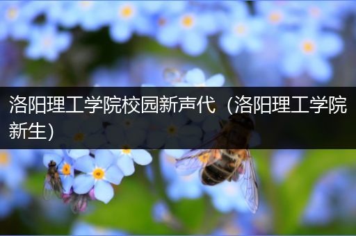 洛阳理工学院校园新声代（洛阳理工学院新生）