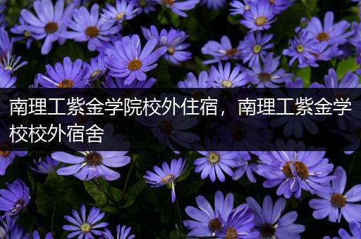 南理工紫金学院校外住宿，南理工紫金学校校外宿舍